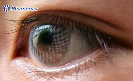 Pharnorcia-Enabling the industry to create a win-win situati...