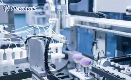 Why have international contact lens companies used Pharnorci...