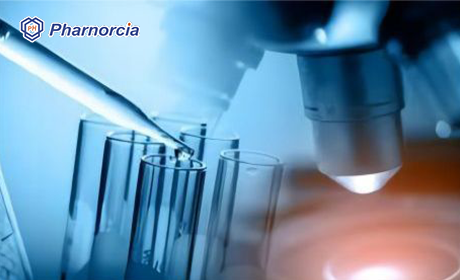 CAS#146632-07-7,CAS#102789-79-7,The pharnorcia silicone hydr...