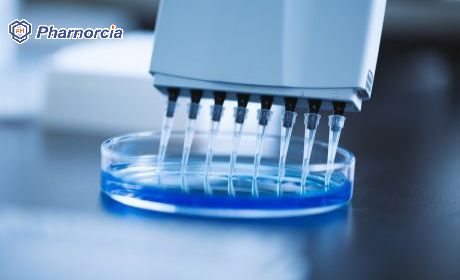 pharnorcia silicone hydrogel contact lenses, you are the 
