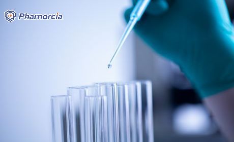 Pharnorcia Silicone Hydrogel Contact Lenses - Deepening Empo...