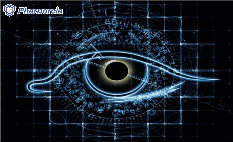 Pharnorcia Silicone Hydrogel Contact Lenses, Safe for Sensit...