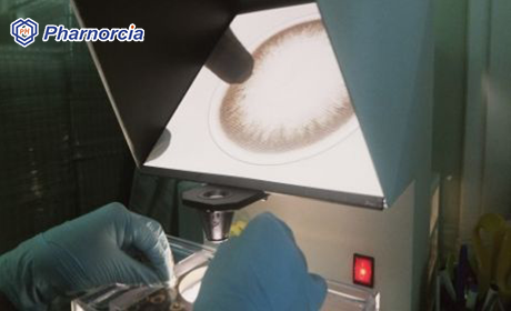 Pharnorcia-Upstream Material Source Plant for Silicone Hydrogel Contact Lens