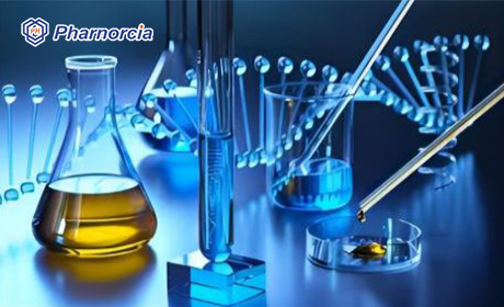 Pharnorcia-winner of silicone hydrogel contact lenses