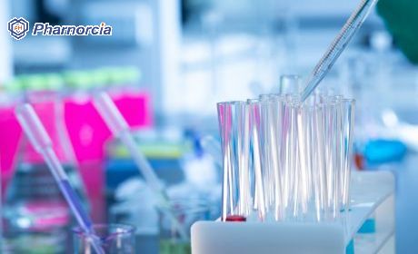 Pharnorcia Silicone Hydrogel Contact Lenses-Empowering Upgrades Easily Profitable